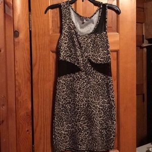 Tight Leopard and Mesh Dress